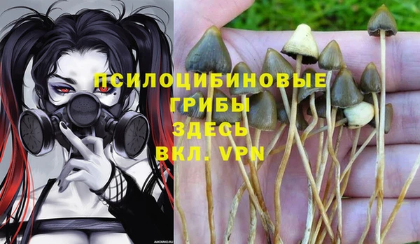 бошки Билибино