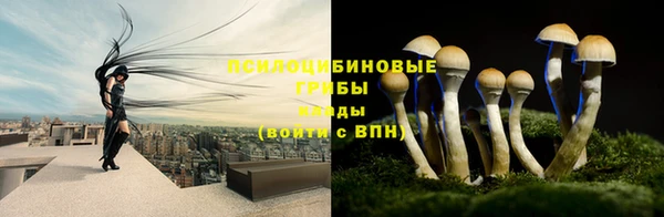spice Нягань