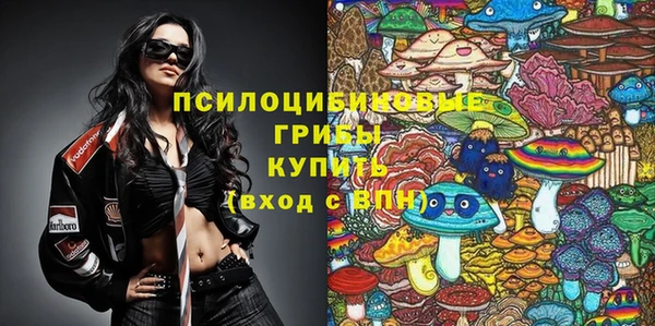 spice Нягань