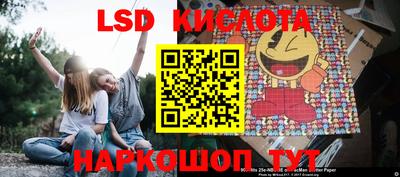 mdpv Гатчина