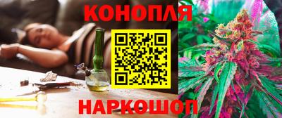 mdpv Гатчина