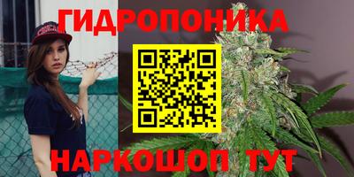 mdpv Гатчина