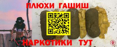 mdpv Гатчина