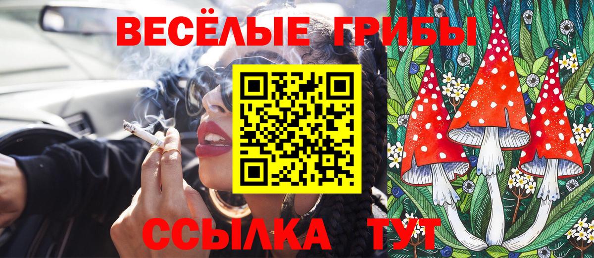 Псилоцибиновые грибы GOLDEN TEACHER Каспийск